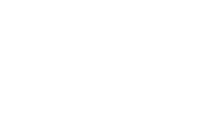 STYLUS&GROOVE STYLUS&GROOVE